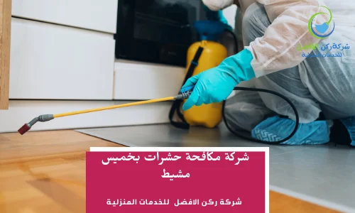 شركة مكافحة حشرات بخميس مشيط 0536589462